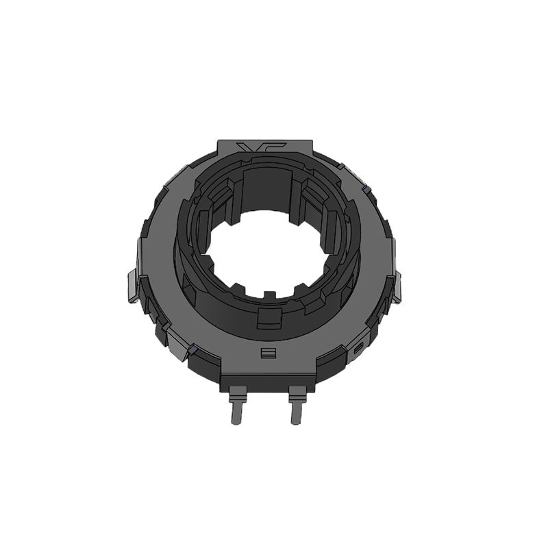 RS21